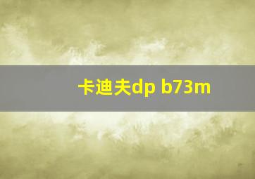 卡迪夫dp b73m